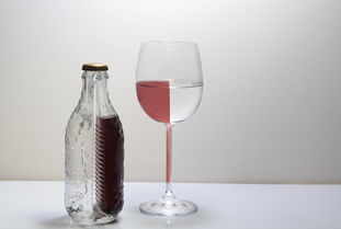 美国队实力突出，摘得意大利杯桂冠